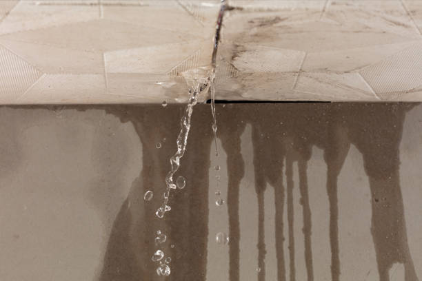 Professional Burst Pipe Cleanup technician working in Madison Heights, MI